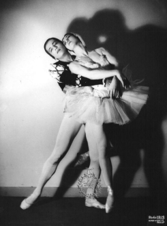 Photo Sudio Iris (008)